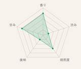 水出し煎茶ティーバッグ