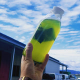 水出し煎茶ティーバッグ