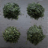 2025年煎茶「グロリアス」相席食堂