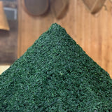 清水音SHIMIZUOTO-2025年抹茶