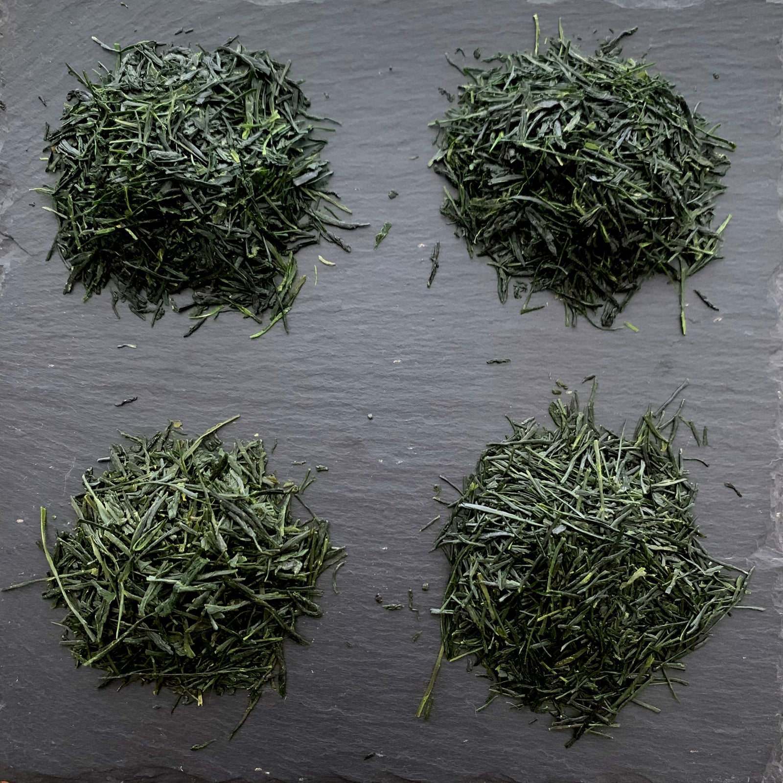 2025年煎茶「グロリアス」相席食堂 – MARUYASU TEA